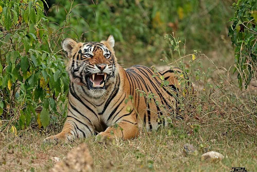 Viaggio nel Nord dell' India - 10 Giorni - I