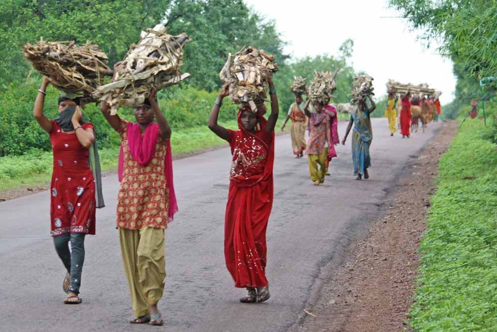 Tour dei luoghi piu noti parte del patrimonio culturale indiano 